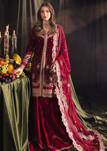 Winter Collection - Qalamkar - Velvet Edit - QV24#02 - AMARA