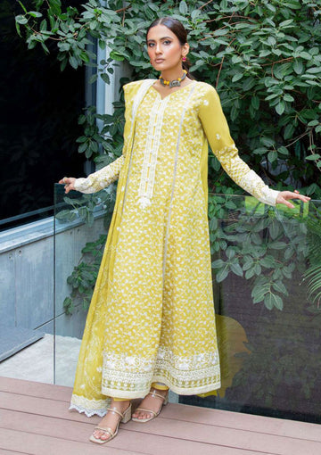 Lawn Collection - Aik Atelier - V02 - D#1A