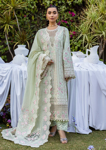 Lawn - Akbar Aslam - Alessandra - D#157 - Marais
