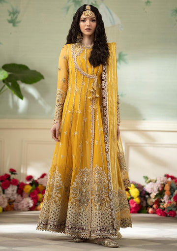Formal Collection - Qalamkar - Dilnaz - Wedding - DN#04 - Kanza
