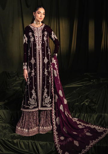 Winter Collection - Qalamkar - Velvet Edit - QV24#01 - AMANI