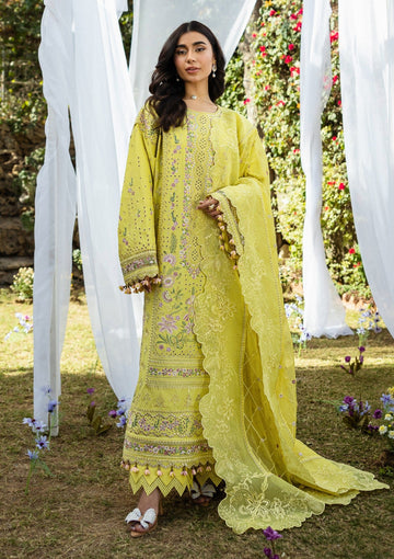 Lawn - Akbar Aslam - Alessandra - D#156 - Nivelle