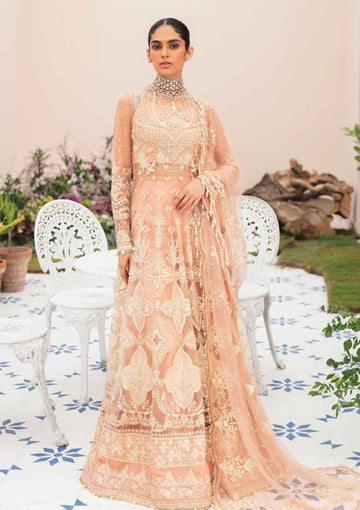 Formal Collection - Afrozeh - La Fuchsia - Festive - ALF#7