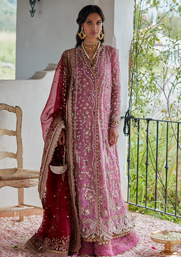 Formal Collection - Suffuse - Freeshia - Wedding - Zaiba
