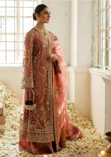 Formal Dress - Suffuse - Freeshia - (Zareen)