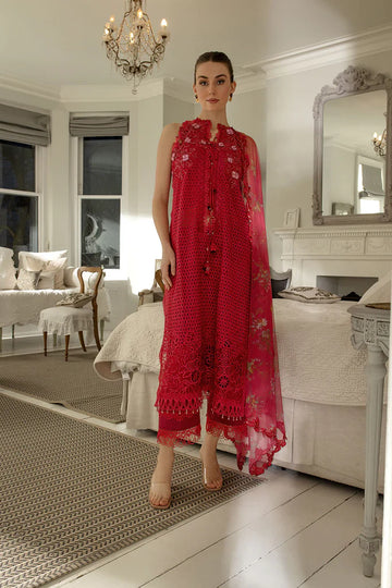 Lawn Collection - Sobia Nazir - Luxury Lawn '24- D#08-B