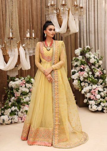 Formal Collection - Shiza Hassan - Gul-e- Bagah - MEHBOOB - D#2