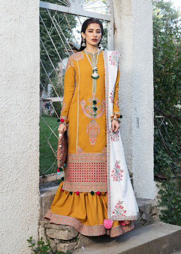 Winter Collection - Hussain Rehar - Karandi - PARAS