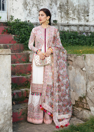 Winter Collection - Hussain Rehar - Karandi - ZOON