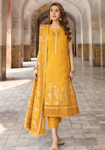 Winter Collection - Marjjan - Karandi - SKC#27 B