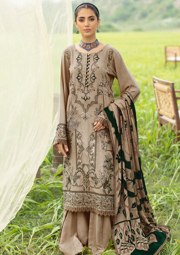 Winter Collection - Ramsha - Reet - Karandi - V06 - R#606