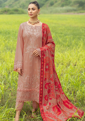 Winter Collection - Ramsha - Reet - Karandi - V06 - R#609