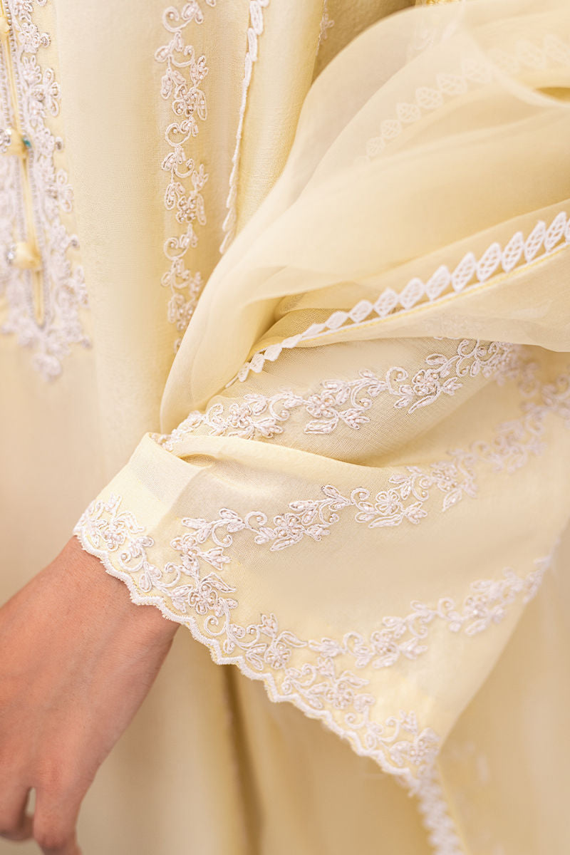 Ansab Jahangir | Luxe Pret Signature | BANEEN - Official Ansab Jahangir stockist in UK - Sakeena London