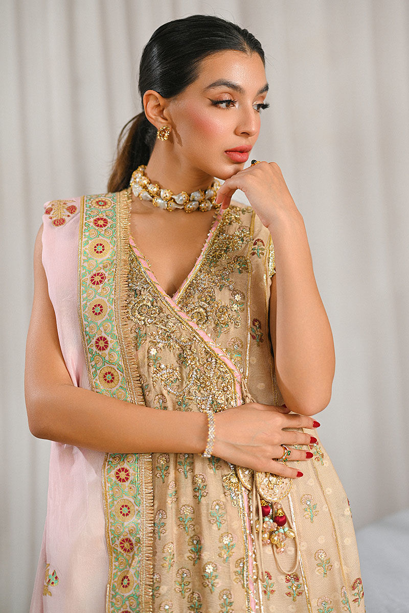 Ansab Jahangir | Cest Parti Luxe Pret 25 | Noelle - Official Ansab Jahangir stockist in UK - Sakeena London