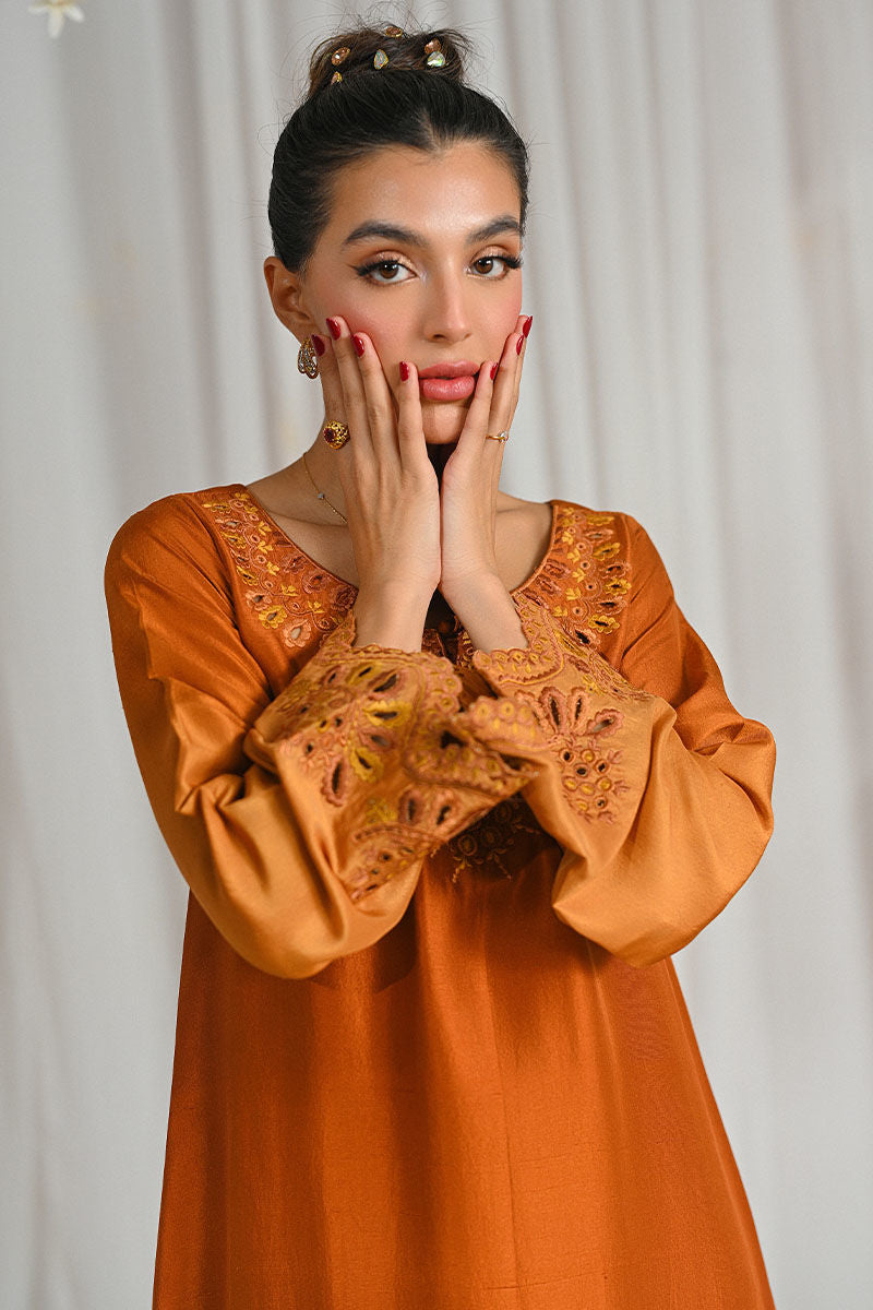 Ansab Jahangir | Cest Parti Luxe Pret 25 | Sienne - Official Ansab Jahangir stockist in UK - Sakeena London