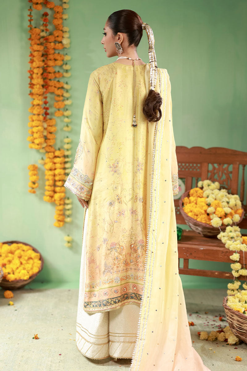 Ansab Jahangir | The Rani Edit | Sahar
