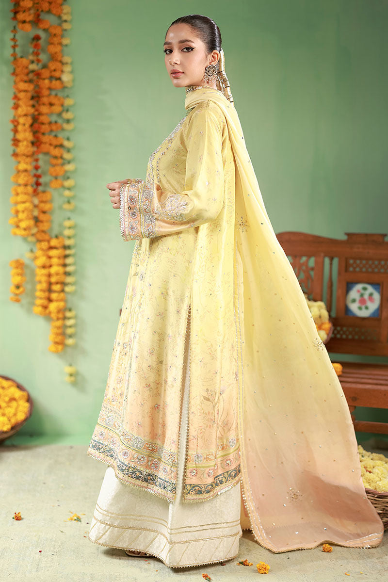 Ansab Jahangir | The Rani Edit | Sahar