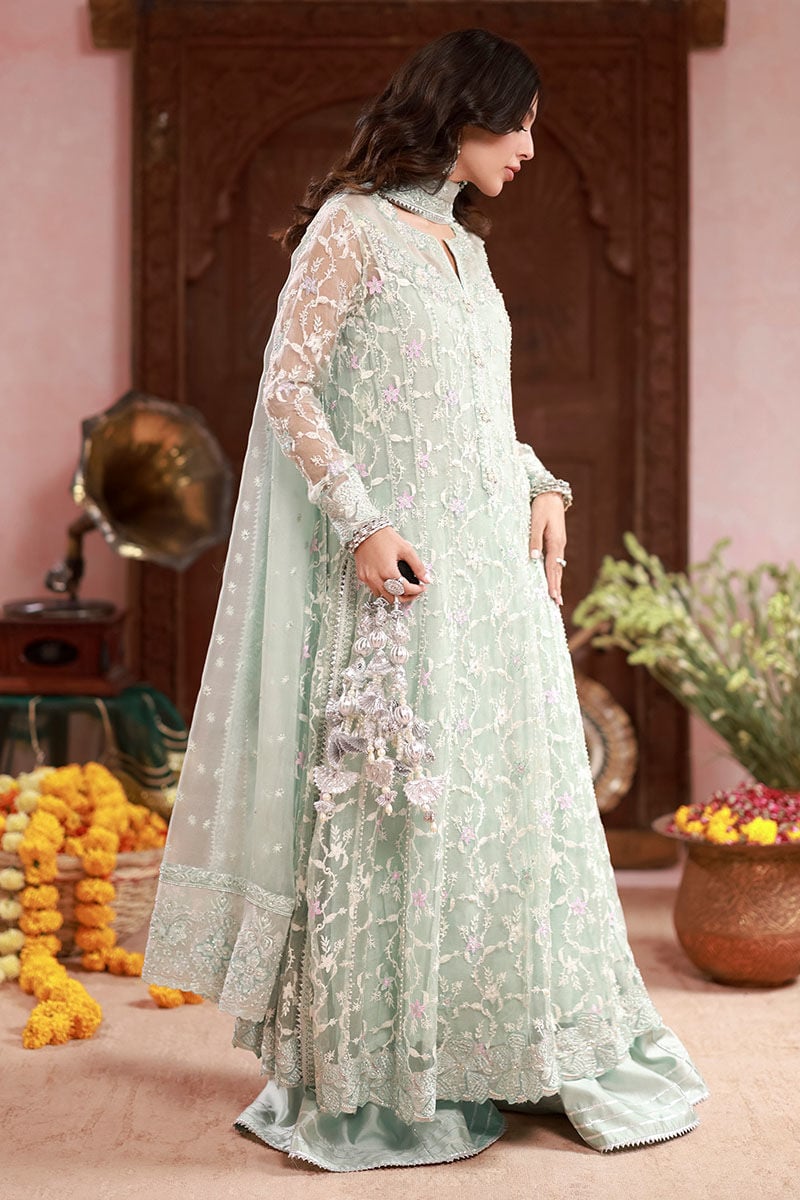 Ansab Jahangir | The Rani Edit | Amina