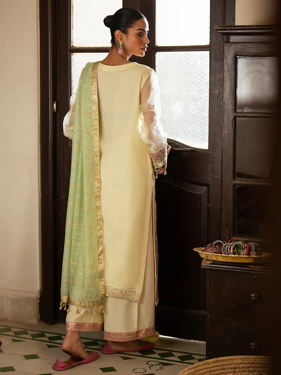 Salitex | Signature Festive Chiffon | SUNW6JI045UT - Official Salitex stockist in UK - Sakeena London