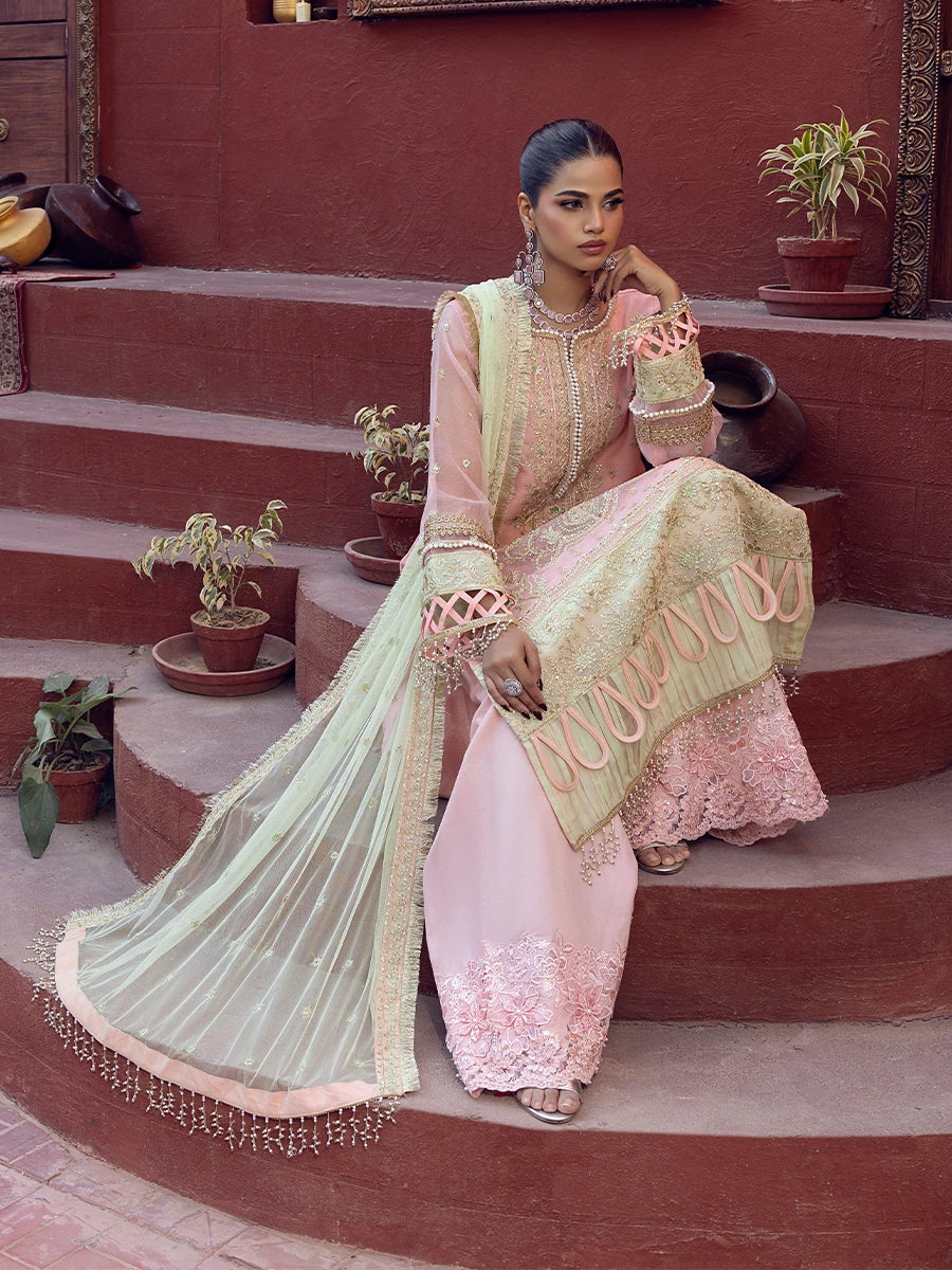 Salitex | Signature Festive Chiffon | SUNW6JI016UT - Official Salitex stockist in UK - Sakeena London