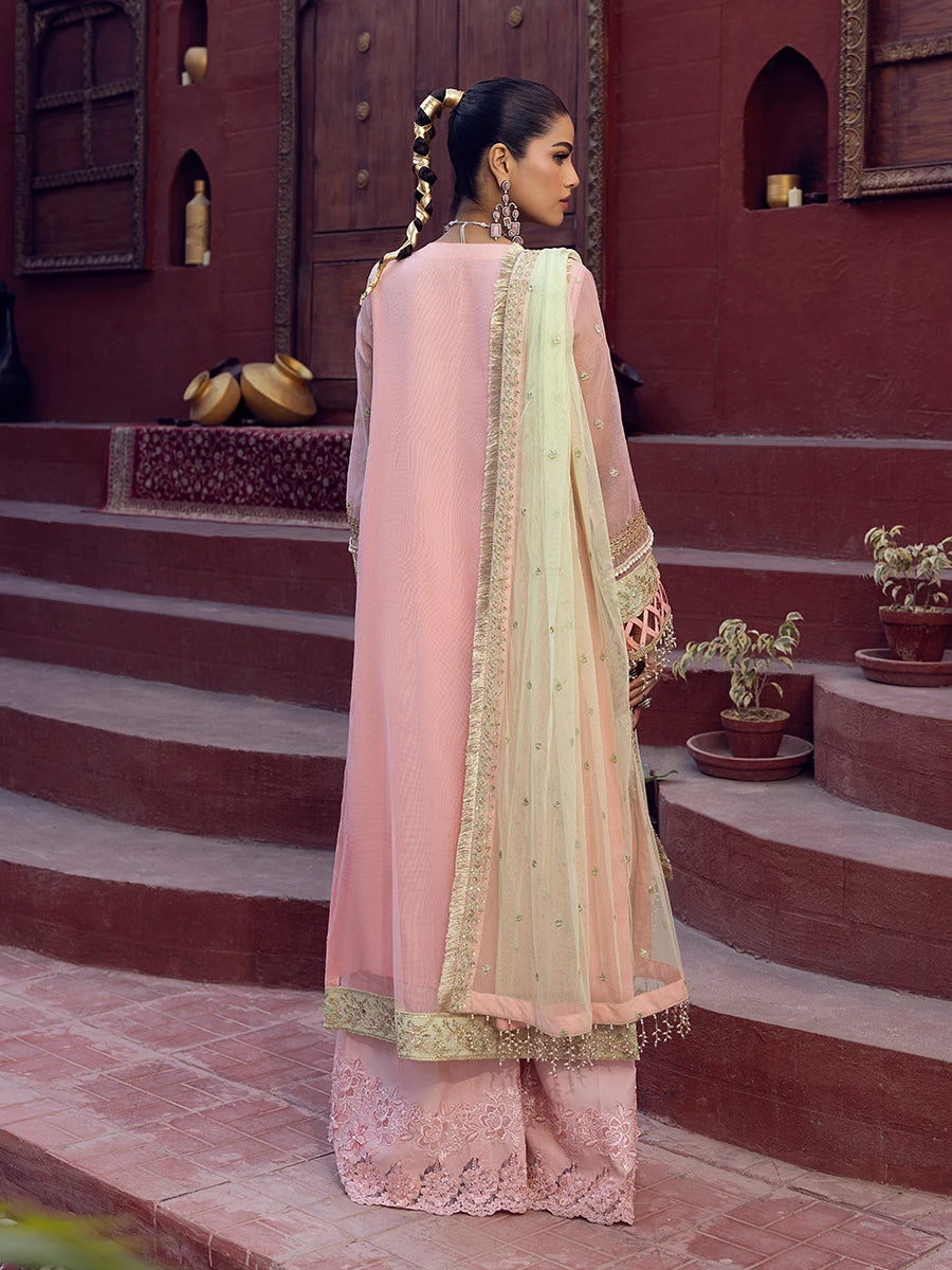 Salitex | Signature Festive Chiffon | SUNW6JI016UT - Official Salitex stockist in UK - Sakeena London