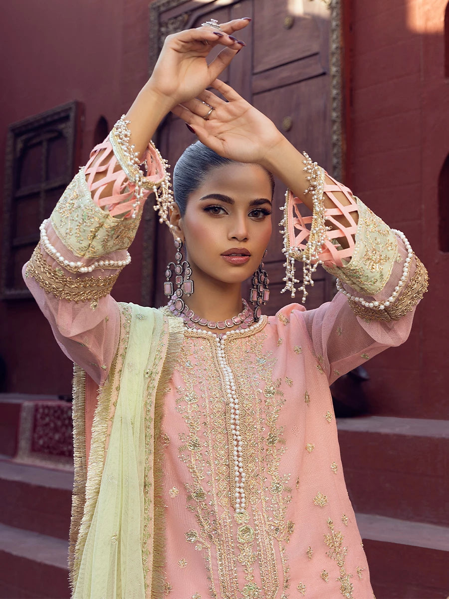 Salitex | Signature Festive Chiffon | SUNW6JI016UT - Official Salitex stockist in UK - Sakeena London