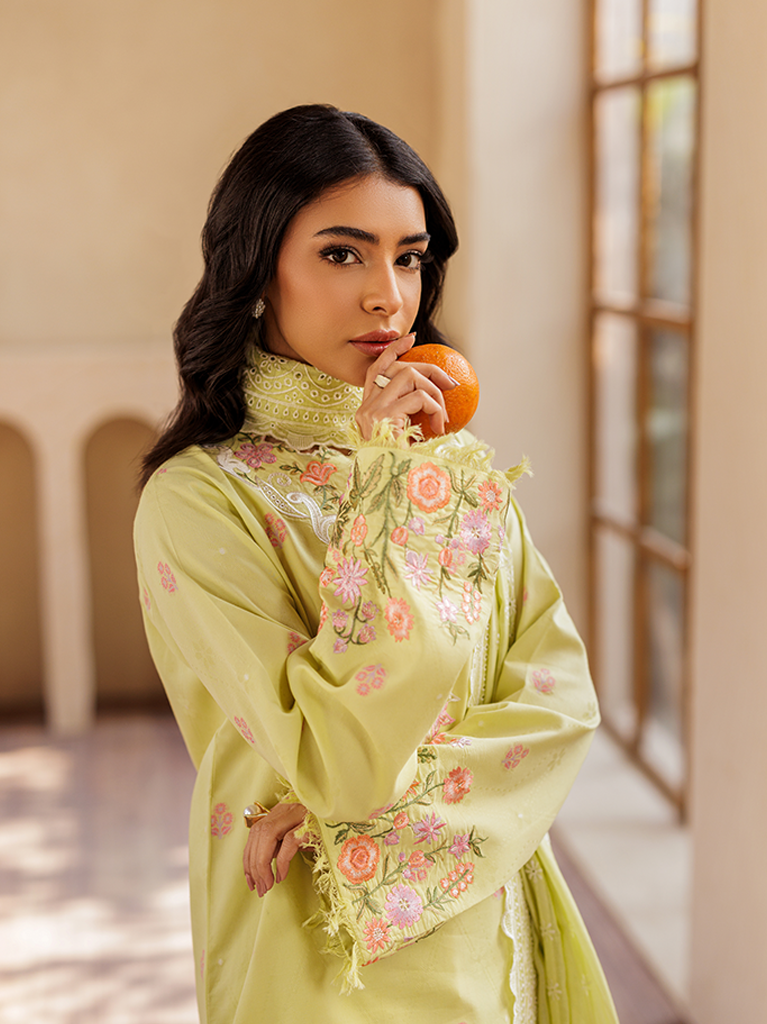 Rajbari | Amari Hybrid Jacquard Edition | Amari Jacquard - 08 - Official Rajbari stockist in UK - Sakeena London