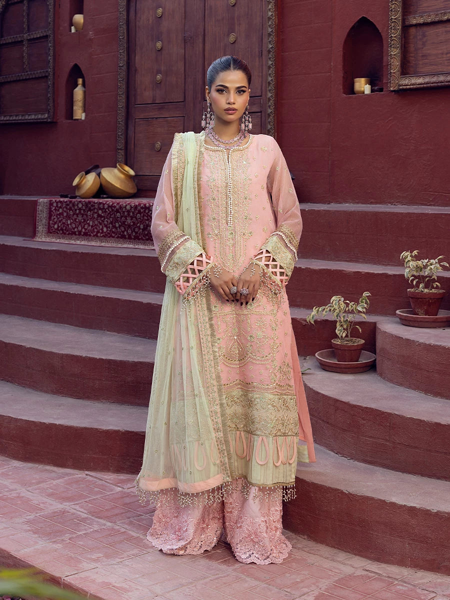 Salitex | Signature Festive Chiffon | SUNW6JI016UT - Official Salitex stockist in UK - Sakeena London