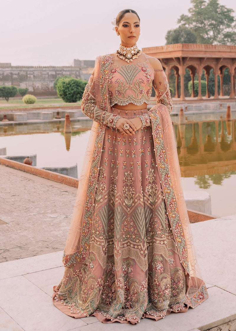 Shurooq | Arjumand Bano Formals | Nawab Bai - Official Shurooq stockist in UK - Sakeena London