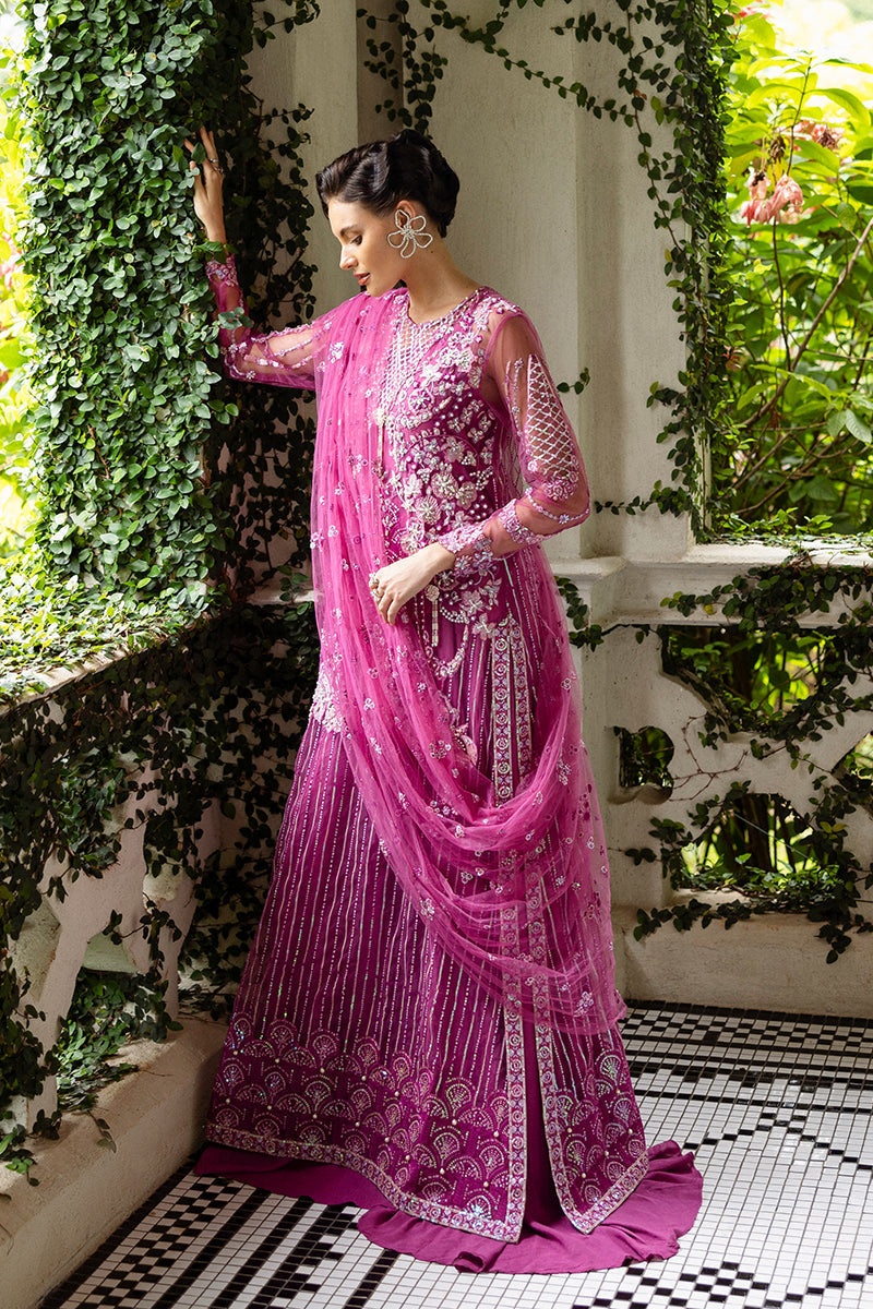 Mushq | Inception Hemline Wedding 25 | Sweet November - Official Mushq stockist in UK - Sakeena London