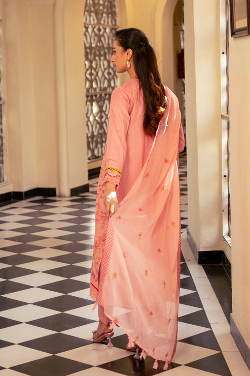 Kross Kulture | Luxury Baharaneh | Blush KLX-00731 - Official Kross Kulture stockist in UK - Sakeena London
