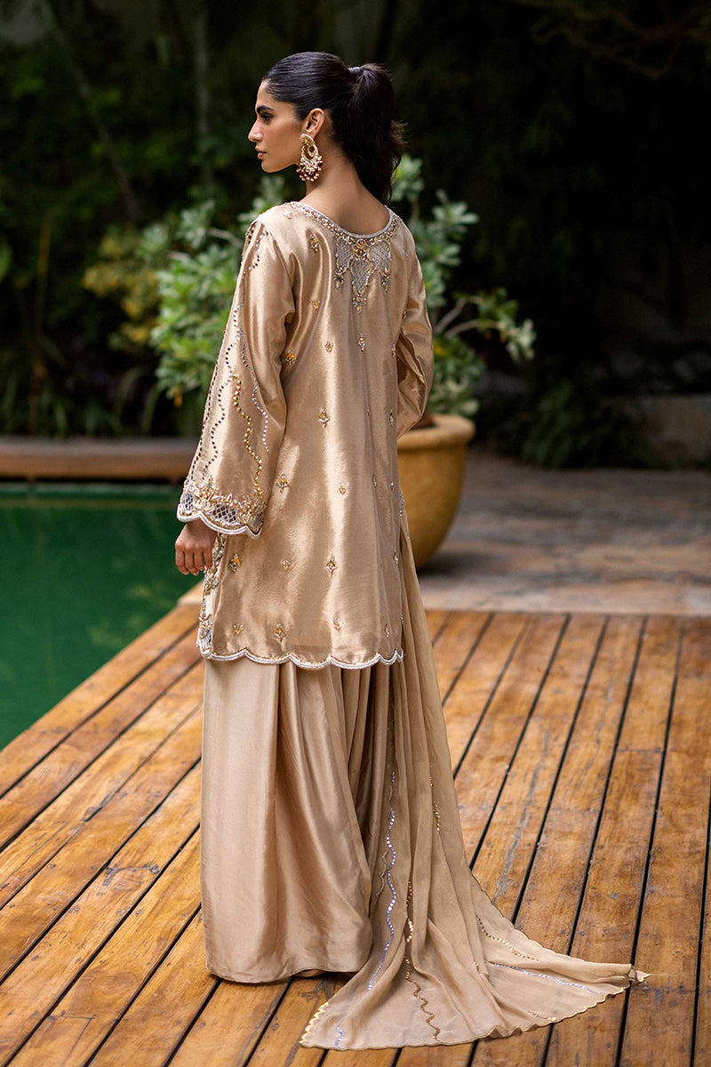 Sana Abbas | Wedding Formals | Mesaam - Official Sana Abbas stockist in UK - Sakeena London