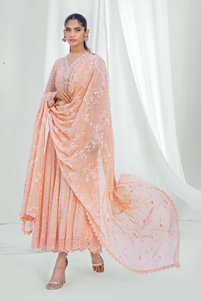 Sana Abbas | Luxury Pret | Zehra - Official Sana Abbas stockist in UK - Sakeena London