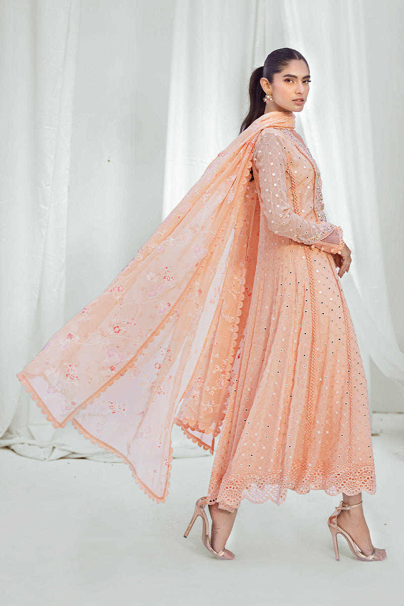 Sana Abbas | Luxury Pret | Zehra - Official Sana Abbas stockist in UK - Sakeena London