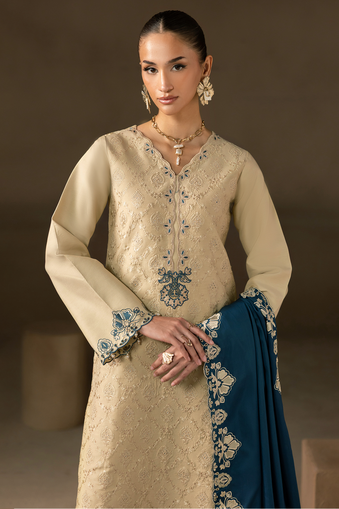 Rajbari | Premium Viscose Chikankari | RPVC-06 - Official Rajbari stockist in UK - Sakeena London