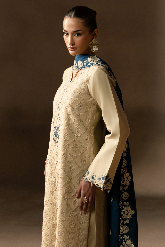Rajbari | Premium Viscose Chikankari | RPVC-06 - Official Rajbari stockist in UK - Sakeena London