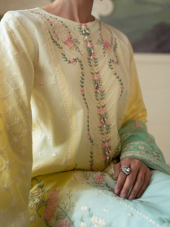 Faiza Faisal | Celine Eid Collection 24 | NOOR - Official Faiza Faisal stockist in UK - Sakeena London