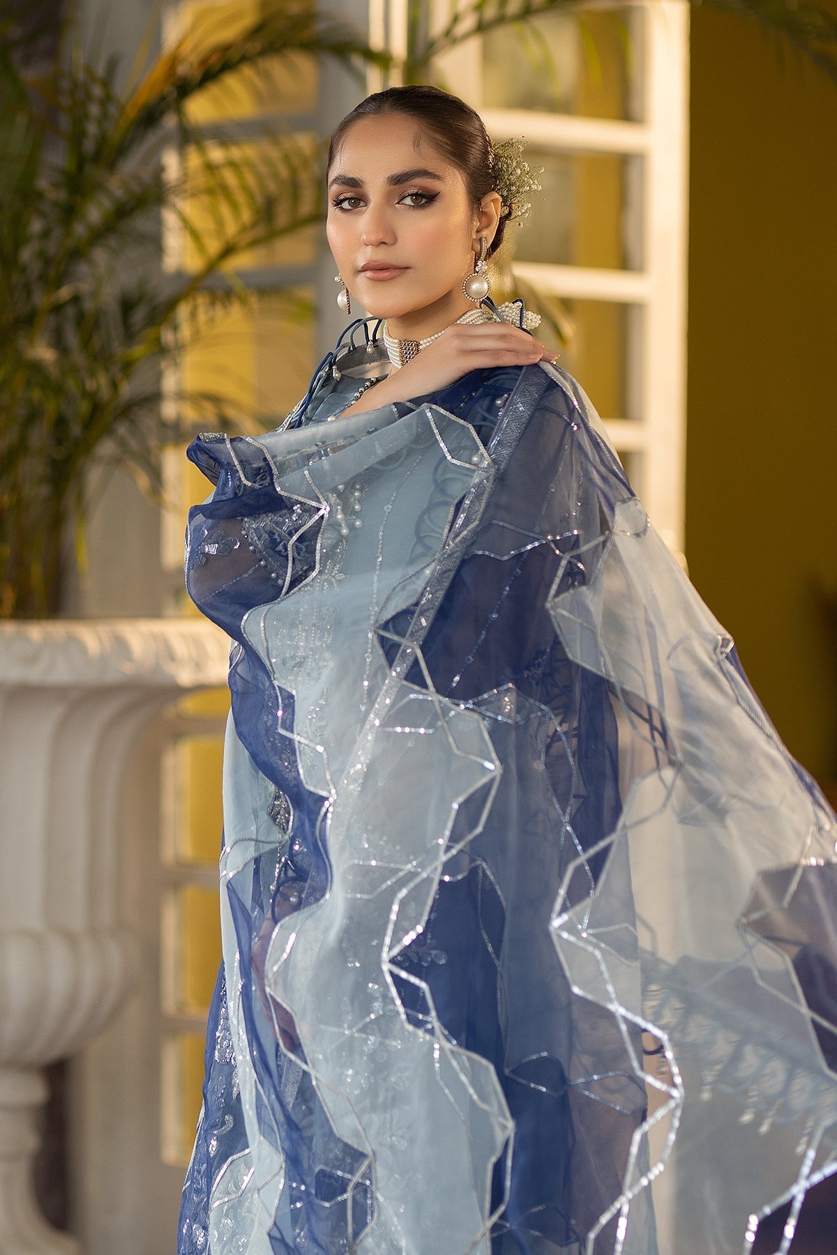 Raeesa Premium | Dehleez Formals | DL-1028 Khayali - Official Raeesa Premium stockist in UK - Sakeena London