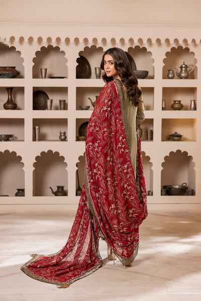 House of Nawab | Luxury Formals | ZEBA - Official House of Nawab stockist in UK - Sakeena London