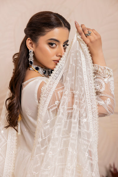 House of Nawab | Luxury Formals | TAROOB - Official House of Nawab stockist in UK - Sakeena London
