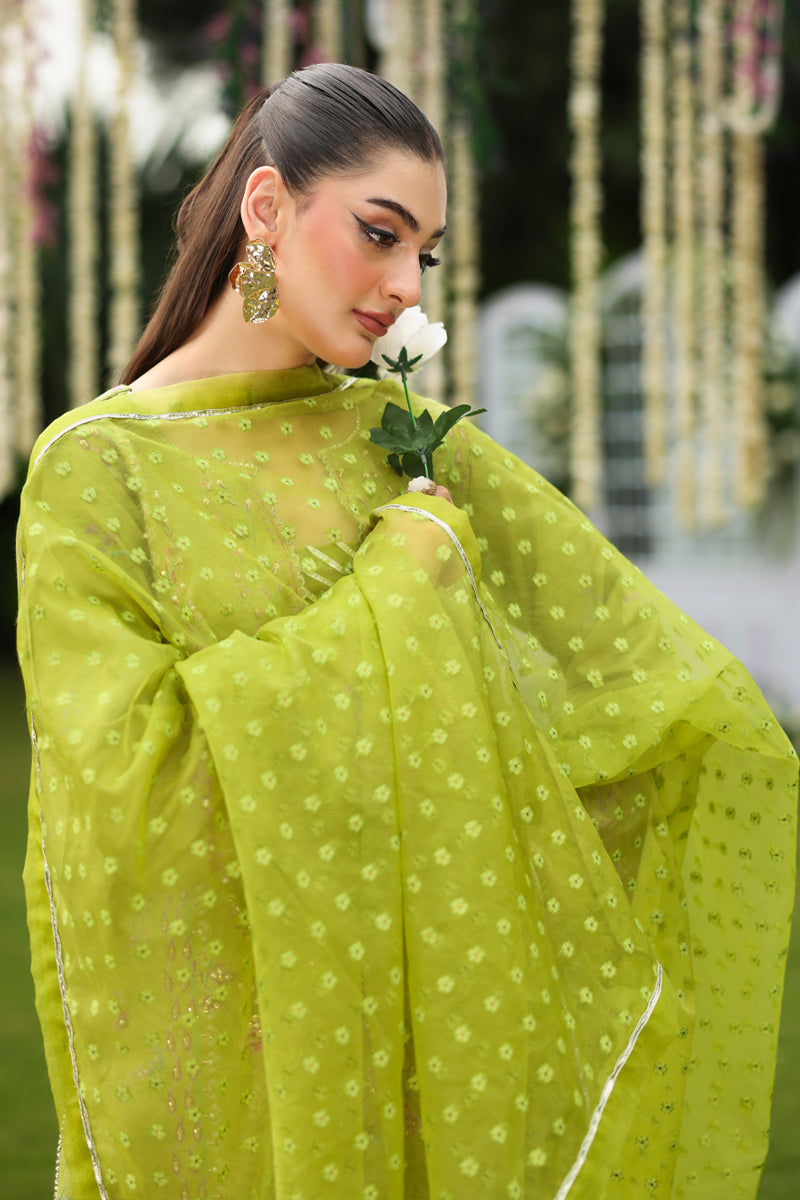 Rangrasiya | Luxe Silk | Radin - Official Rangasiya stockist in UK - Sakeena London