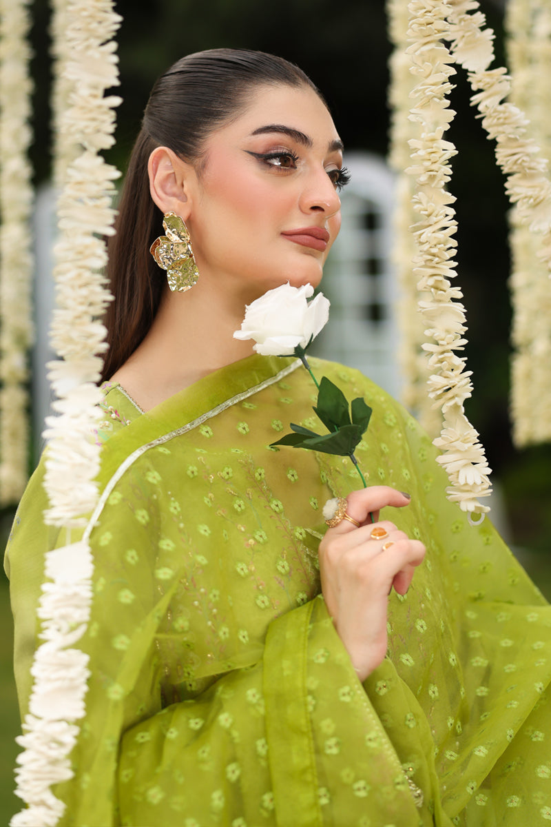 Rangrasiya | Luxe Silk | Radin - Official Rangasiya stockist in UK - Sakeena London