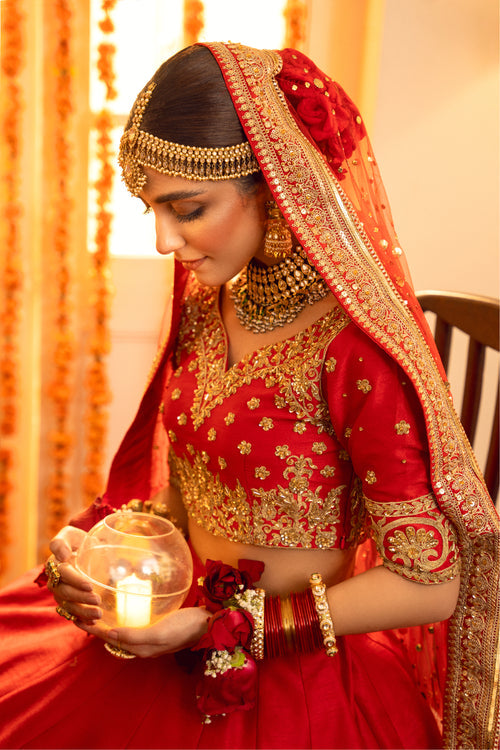 Maya | Wedding Formal Babul | AMAN TARA - Official Maya stockist in UK - Sakeena London