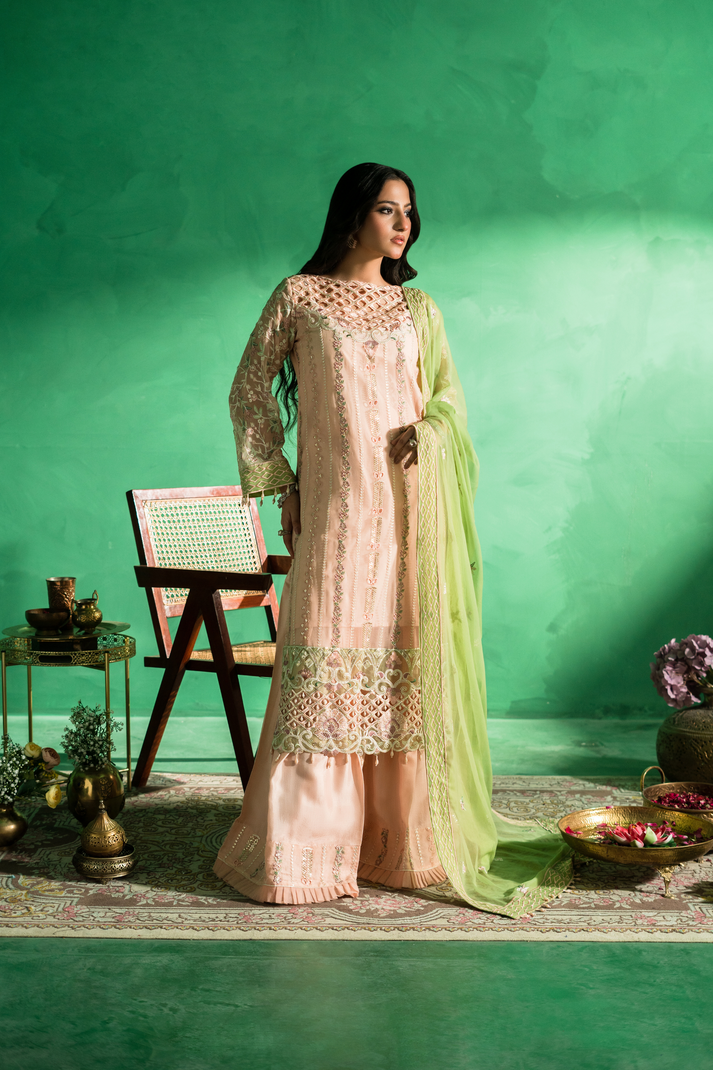 Zebtan | Farmaish Formals | FC-08 - Official Zebtan stockist in UK - Sakeena London