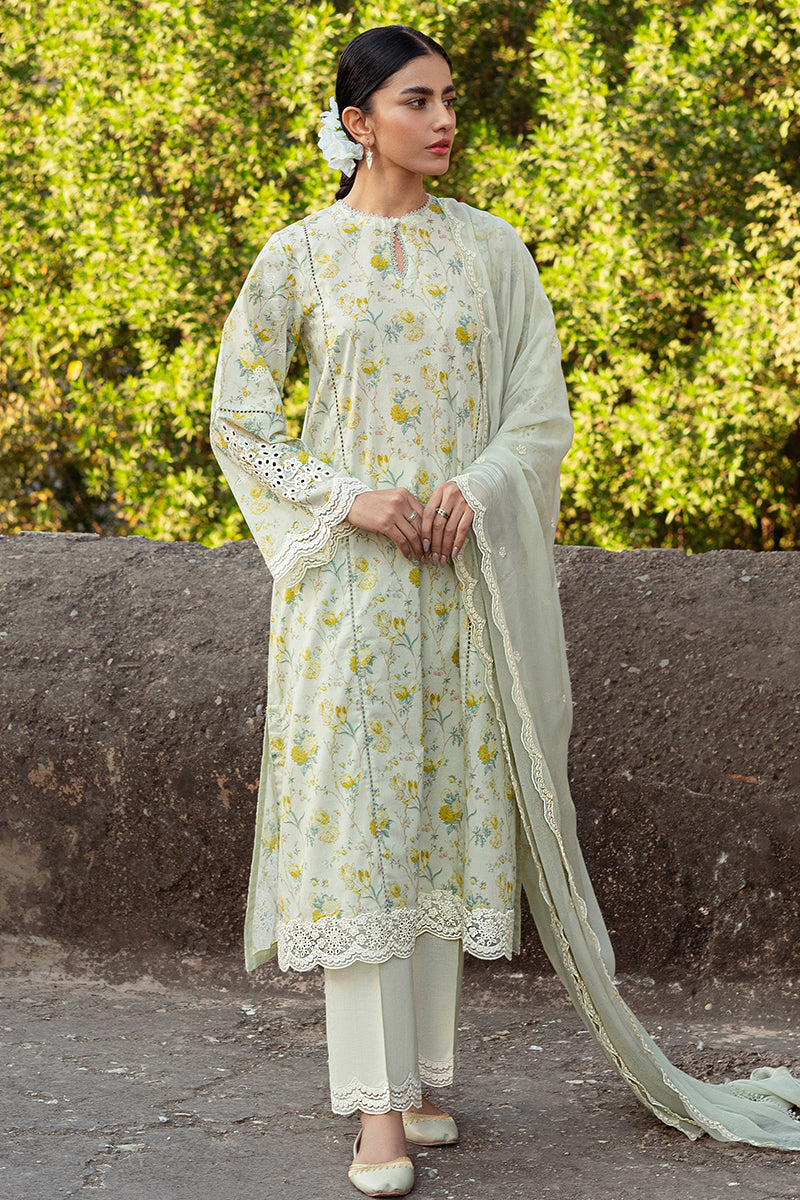 Cross Stitch | Premium Lawn 24 | LIME PRIMROSE - Official Cross Stitch stockist in UK - Sakeena London