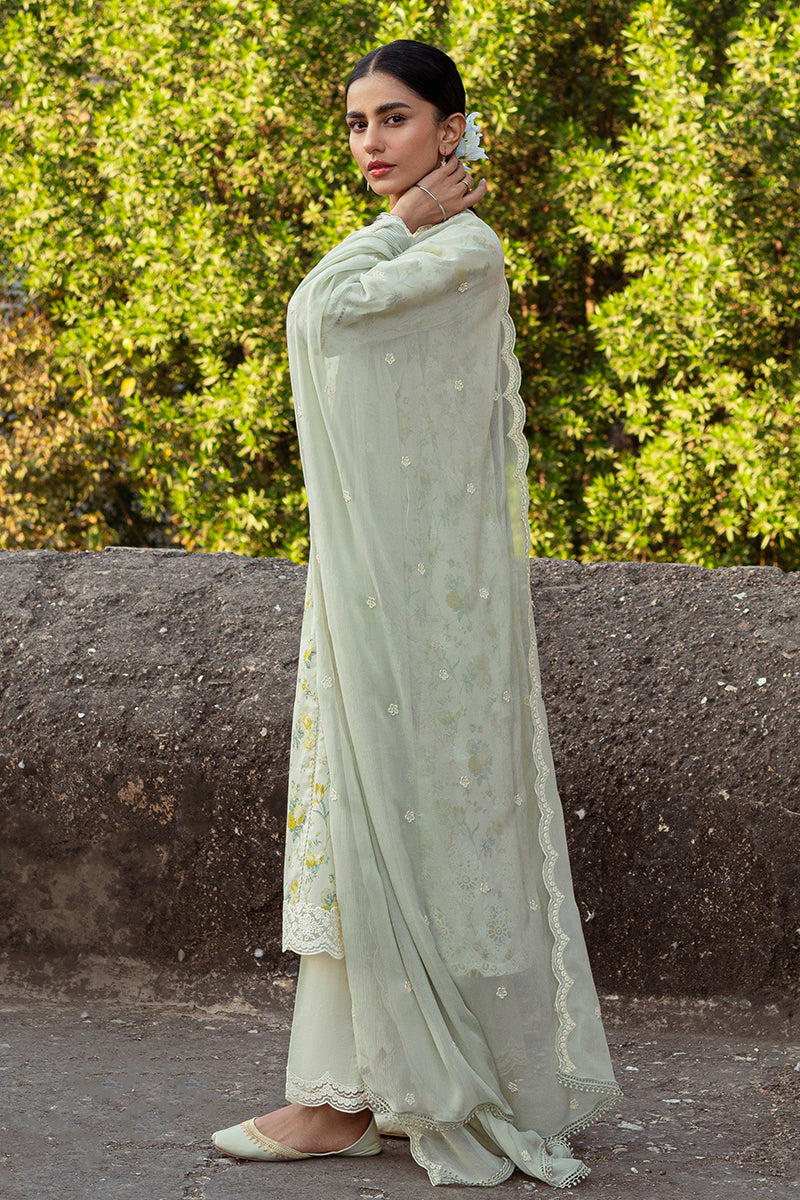 Cross Stitch | Premium Lawn 24 | LIME PRIMROSE - Official Cross Stitch stockist in UK - Sakeena London