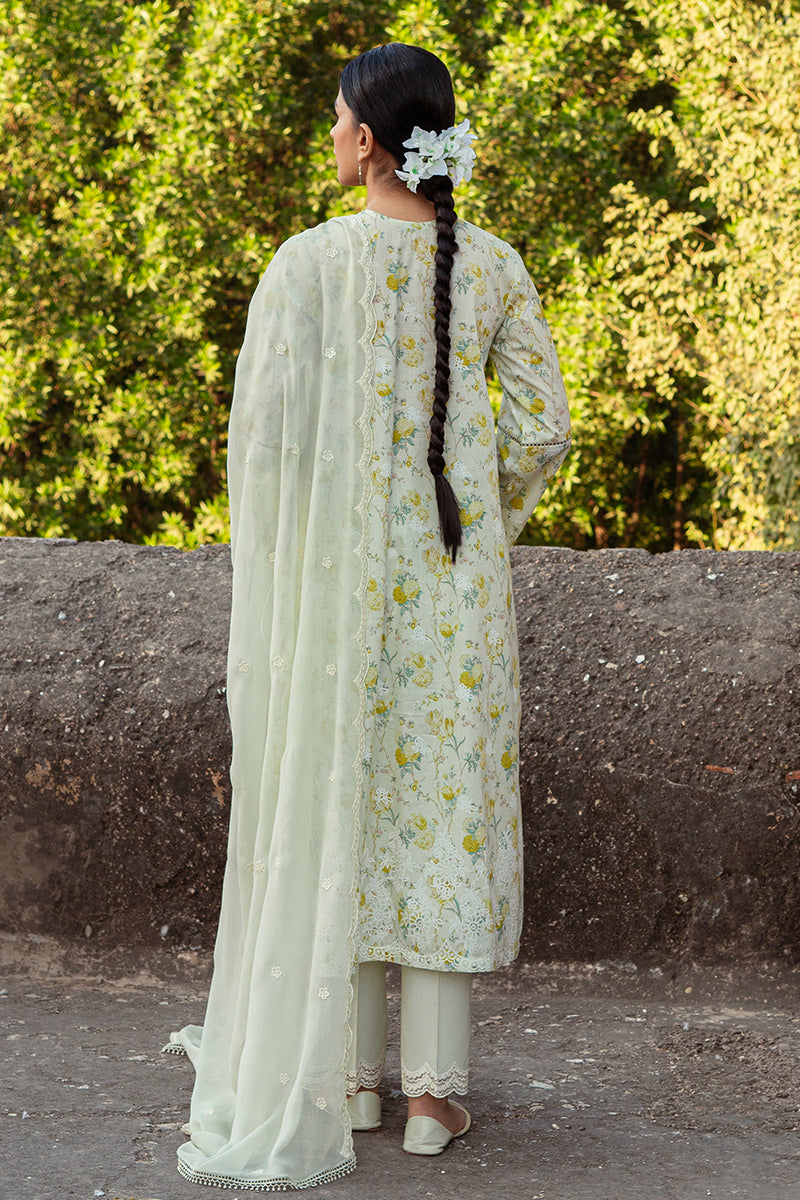 Cross Stitch | Premium Lawn 24 | LIME PRIMROSE - Official Cross Stitch stockist in UK - Sakeena London