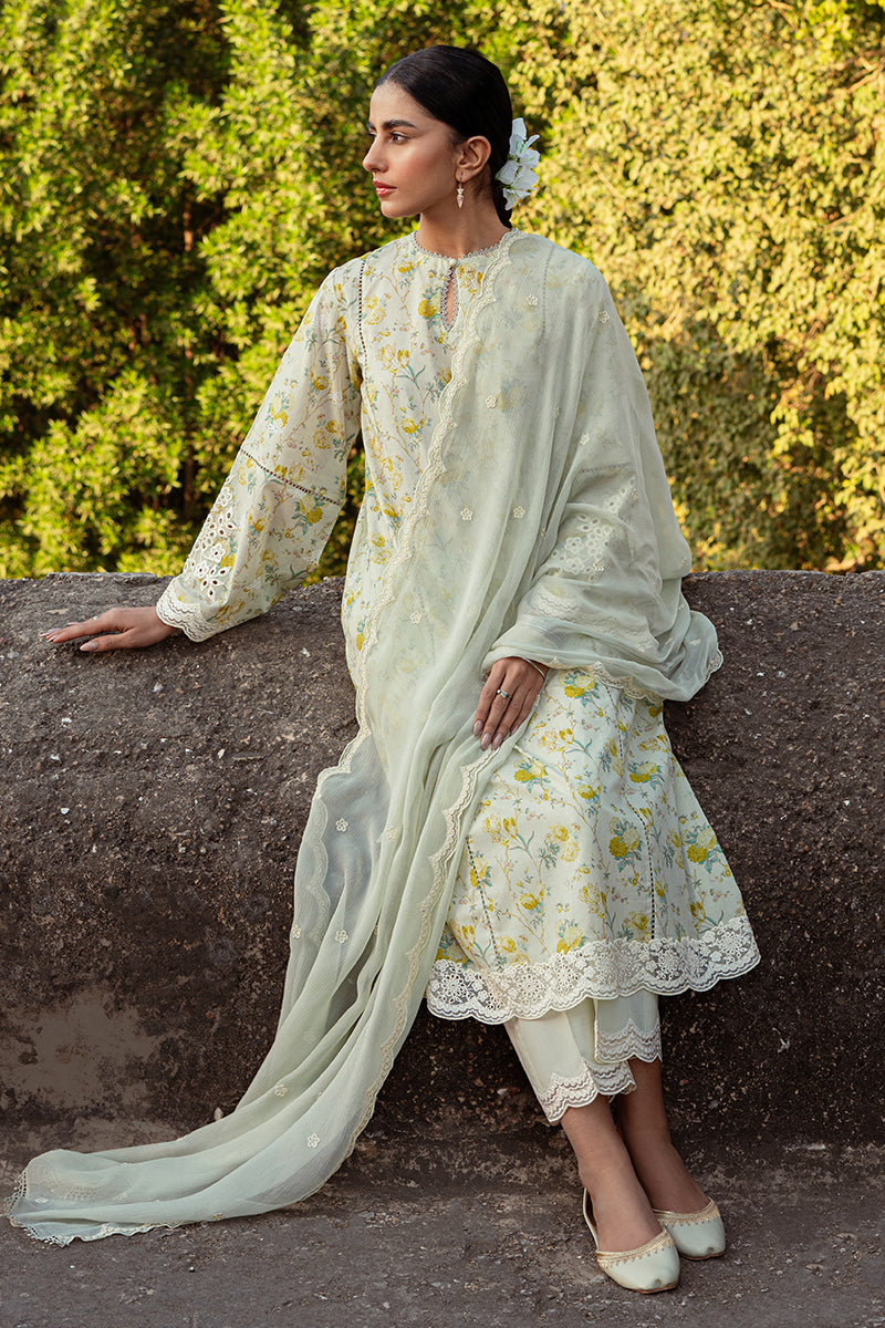 Cross Stitch | Premium Lawn 24 | LIME PRIMROSE - Official Cross Stitch stockist in UK - Sakeena London