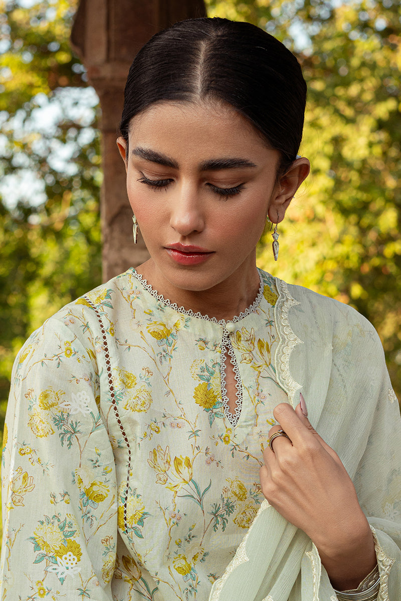 Cross Stitch | Premium Lawn 24 | LIME PRIMROSE - Official Cross Stitch stockist in UK - Sakeena London