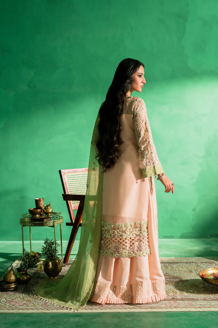 Zebtan | Farmaish Formals | FC-08 - Official Zebtan stockist in UK - Sakeena London
